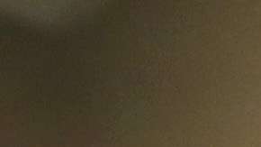 La otorgación y extensión de visas H-1B es el centro del debate.