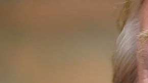 El nuevo defensor legal de Trump no deja de meterlo en problemas