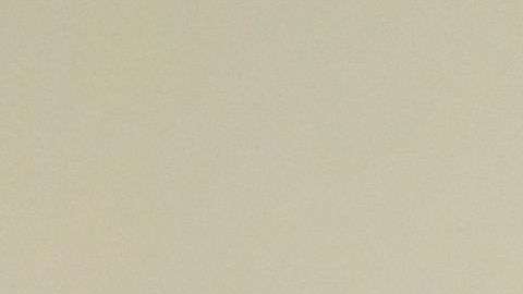 The Washington Post tuvo acceso al borrador de 96 páginas