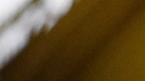 El presidente Trump volvió a criticar la inmigración.