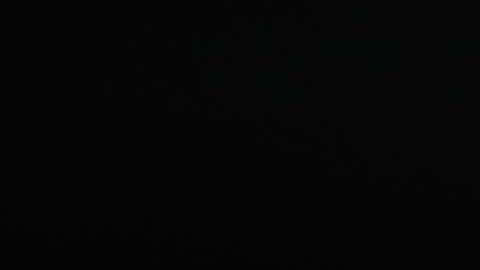 La secretaria Nielsen acudió al Senado.