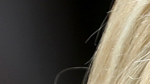 Ivanka Trump retuiteó el mensaje de un político inglés.