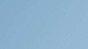 El presidente llamó "animales" a los inmigrantes criminales.