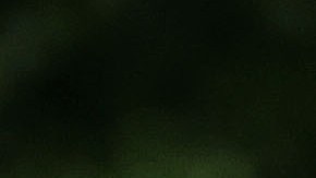 El presidente Trump ha bloqueado en Twitter a quienes critican sus políticas.