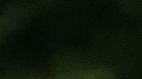 Donald Trump. Getty Images