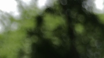 El presidente Trump criticó esta miércoles el "Estado profundo".