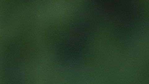 Todavía no se descarta la histórica cumbre entre los dos líderes