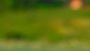 Recuperar la alegría es un trabajo interno que produce satisfacción para disfrutar la vida y el presente.