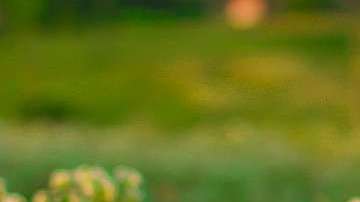 Recuperar la alegría es un trabajo interno que produce satisfacción para disfrutar la vida y el presente.