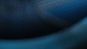 La adicción a los opioides constituye uno de los mayores retos de salud pública.