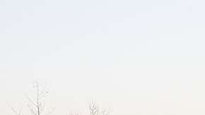 Aquí es posible tener licencia si vives ahí.