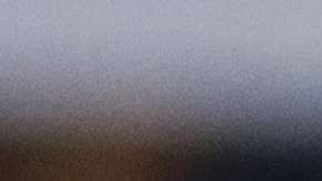 Javier "Chicharito" Hernández ya tiene nuevo técnico en el West Ham