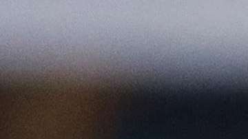 Javier "Chicharito" Hernández ya tiene nuevo técnico en el West Ham