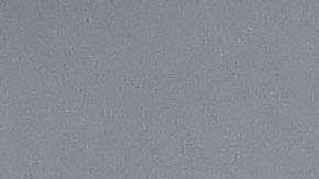 Javier "Chicharito" Hernández reforzaría a Chivas los próximos seis meses