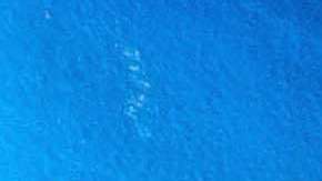 Pedro Caixinha, técnico de Cruz Azul y Ricardo Peláez, director deportivo de la Máquina