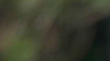 Rafa Márquez estrenó en Internet la película de su vida