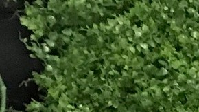 El jóven puertorriqueño Abdier Benítez, usuario de PrEP desde hace más de un año, es una de las caras de la campaña “¡Listos!”.