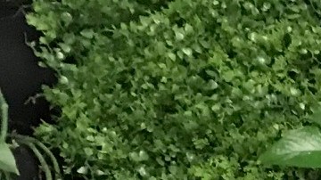 El jóven puertorriqueño Abdier Benítez, usuario de PrEP desde hace más de un año, es una de las caras de la campaña “¡Listos!”.