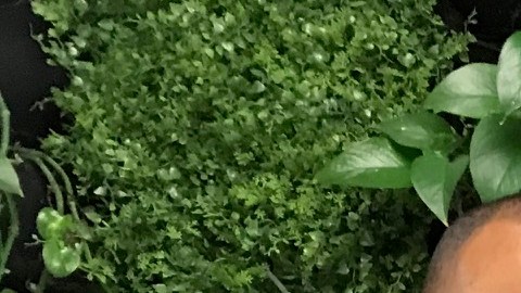 El jóven puertorriqueño Abdier Benítez, usuario de PrEP desde hace más de un año, es una de las caras de la campaña “¡Listos!”.