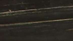 Jorge Ramos junto a Chiquinquirá Delgado.