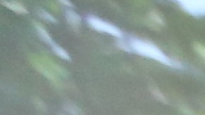 Josefina Lugo Medina, 95 recibe la visita de su hija, Lydia Cardona, 68, que llego de Puerto Rico para el dia de las Madres.