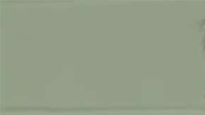 Brecken Hayes  donó sus ahorros a un comedor social.