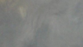 Kyle Gotchel estudiaba Negocios en Rutgers University