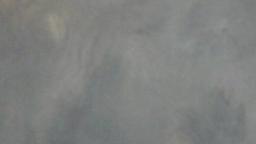 Kyle Gotchel estudiaba Negocios en Rutgers University