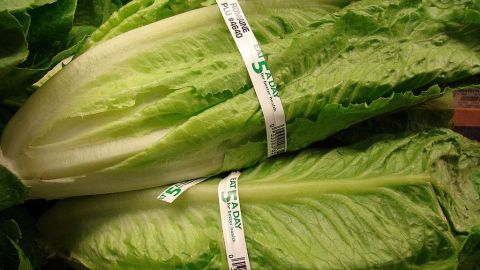 El brote de E. coli ha sido vinculado con la lechuga romana cultivada en Yuma, Arizona.