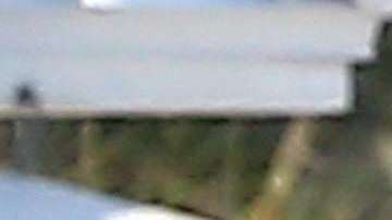 Maluma y Prince Royce pasan tiempo juntos en Miami, Florida.