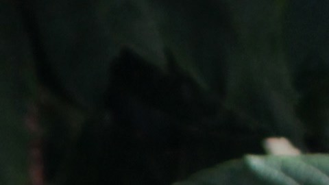 Marcela Guerrero lidera el programa de artistas hispanos en el Museo Whitney. Scott Rothkopf es el Curador en Jefe.