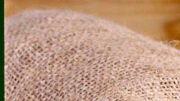 Tostado, natural o untado  como crema en el pan, el maní es un alimento delicioso.