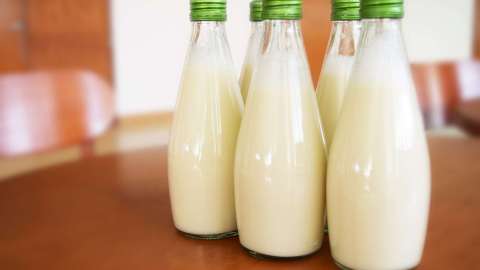 Falta evaluar la leche de cucaracha como súper alimento para humanos.