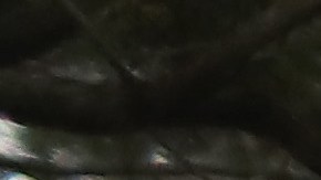 Los operativos contra las pandillas se han reforzado en Long Island.