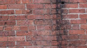 La cantante Nella Rojas./ Cortesía.