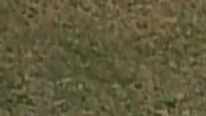 Alerta máxima en varios condados de NJ