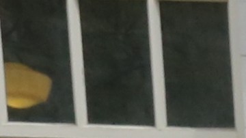 Congresista Nydia Velazquez pide que no aumenten la renta en los proyectos.