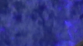 Los Obama podrían aparecer incluso en algunos programas especiales.