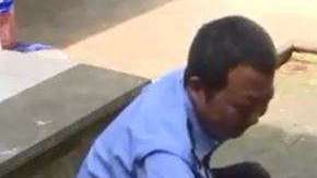 El perro era en realidad un oso que dos años después, creció de forma descomunal.