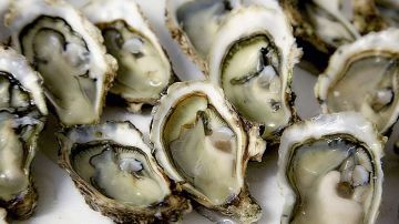 Si te gustan las ostras, es mejor no comerlas crudas.
