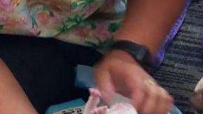 Ellie es una perra de rescate y su parto fue compartido en Twitter.