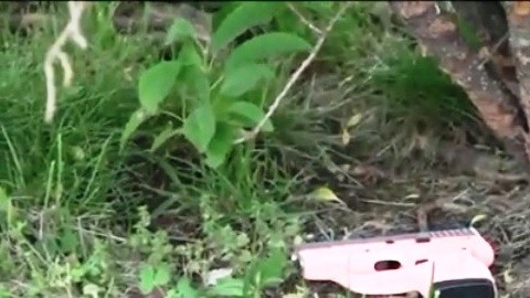 El arma rosada hallada en la hierba cerca de la calle 110