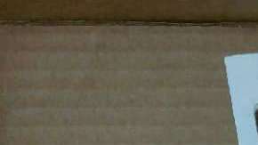 No importa qué tan exclusiva sea la dirección, muchos departamentos en Nueva York están invadidos por ratones.