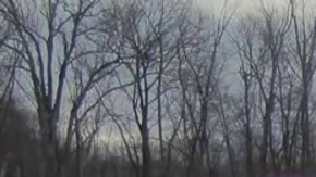 La policía de Rockland investiga el hecho