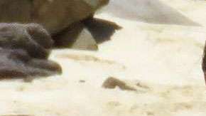 Scott Disick y Sofia Richie.