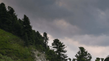 El futuro de la industria.