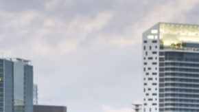 Estos vehículos son una gran inversión.