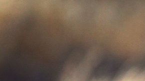 El juez declaró inadmisible todas la pruebas que se recolectaron en dichos retenes