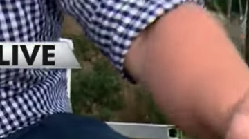 Una estudiante de Texas presenta un proyecto para su escuela que empareja animales de refugios con personas que pueden adoptarlos.