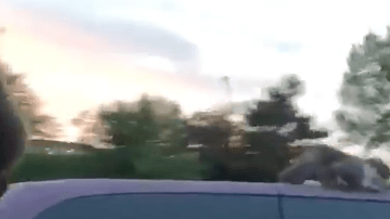 Screen Shot 2018-05-26 at 10.47.37 AM